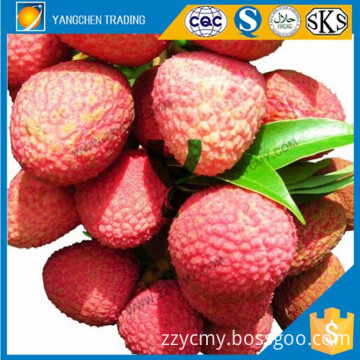 2015 fresh fruit canned lychee kosher for philippine food